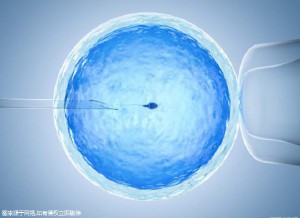 包生男孩咨询